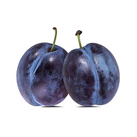 Damson