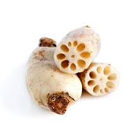 Lotus root