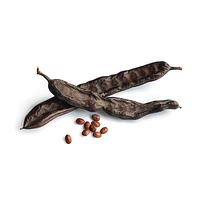 Carob