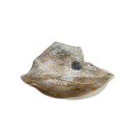 John dory fillet