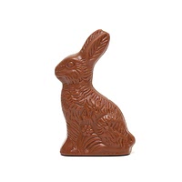 Hollow milk chocolate bunny