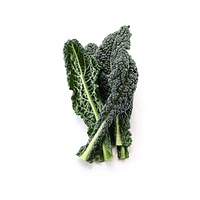 Black kale