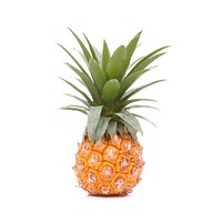 Baby pineapple