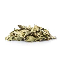 Dried asian lizards tail herb