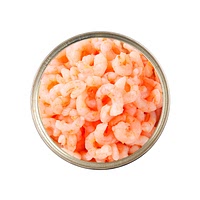 Shrimp canned