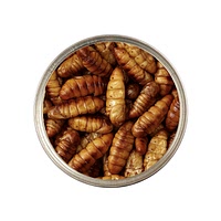 Canned pupa