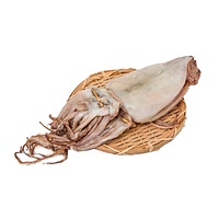 Semi dried squid