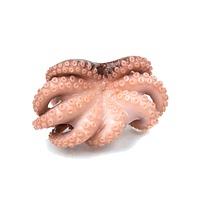 Frozen webfoot octopus