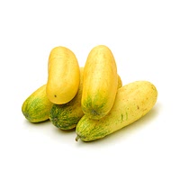 Yellowish cucumber