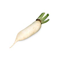 Chonggak radish