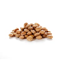 Roasted sacha inchi nuts