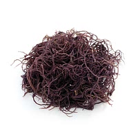 Salted gracilaria red algae