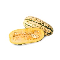 Delicata squash