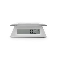 Digital scale