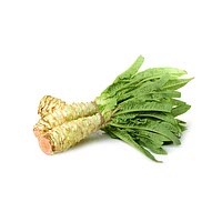 Celtuce