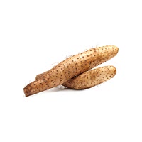 Wild yam