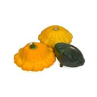 Patty pan squash