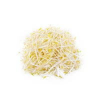 Bean sprouts