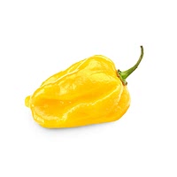 Yellow habanero pepper