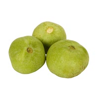 Tinda gourd