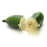 Finger lime