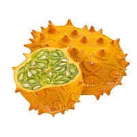 Horned melon