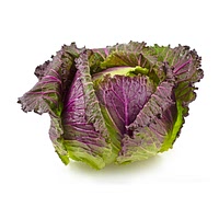 January king cabbage