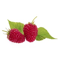 Loganberries