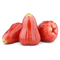 Malay rose apple