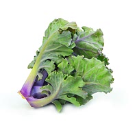 Kalettes