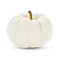 White pumpkin