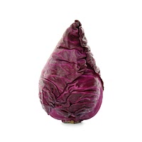 Red pointed cabbage