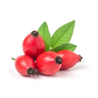 Rose hips