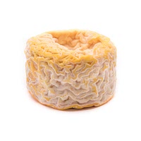 Langres cheese