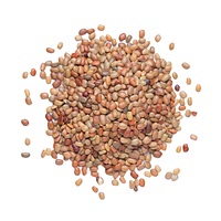 Brown pigeon peas