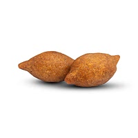 Kibbeh