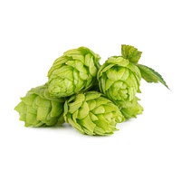 Cascade hops