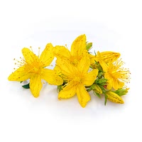 St. john's wort