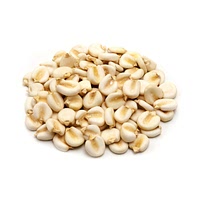 Dried hominy