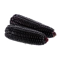 Black corn