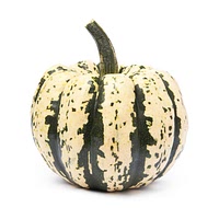 Dumpling squash