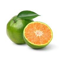 Green mandarin orange