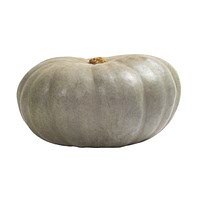 Jarrahdale squash