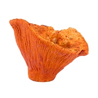 Lobster mushroom