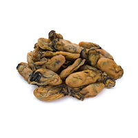 Dried oyster