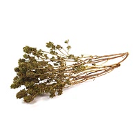 Dried thyme sprigs