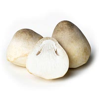 Straw mushroom