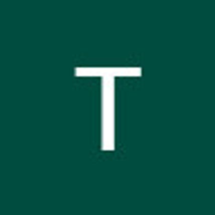 T.H Megdiche