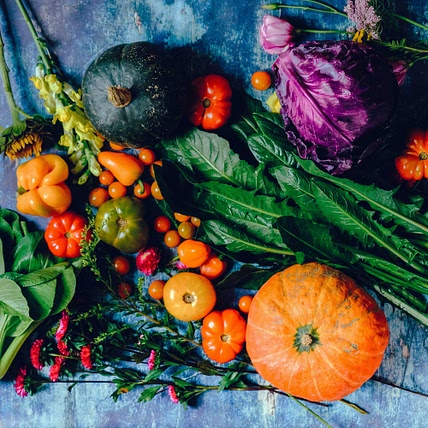 Whole Food Plant Based