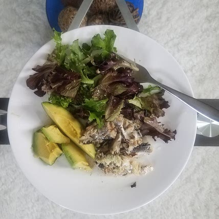 KETOGENIC MEAL PLAN 